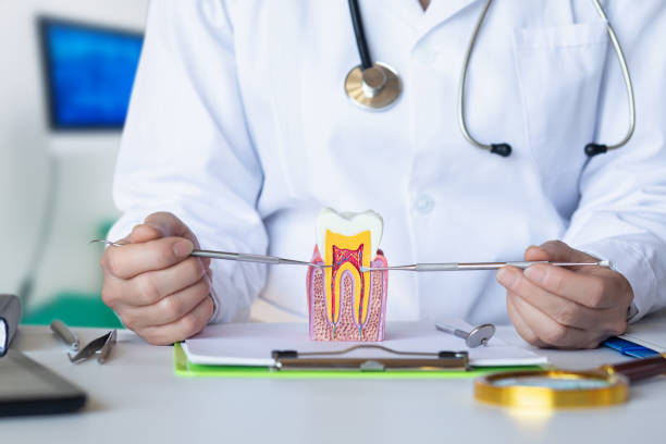 Best Emergency Treatment for Dental Infections or Abscesses in Arlington Heights, IL